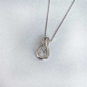 Anhänger in 14 kt Weißgold mit Kette 155137